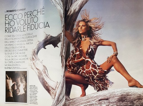 489 VANITY FAIR 48 2005 FIORELLO ROBERTO CAVALLI ANGELINA JOLIE BRAD PITT MODA - Photo 8 sur 11