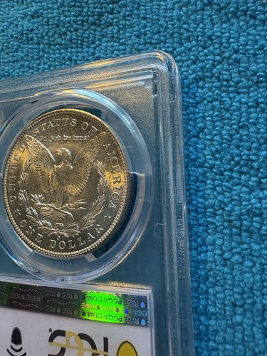 1904-O Morgan $. PCGS MS 63 Freshly Graded.  Gorgeous Luster. Clean. 90% Silver! - Bild 5 von 6