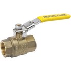 1/2 In. FIP x 1/2 In. FIP Brass Locking Ball Valve 107-823LNL  Series