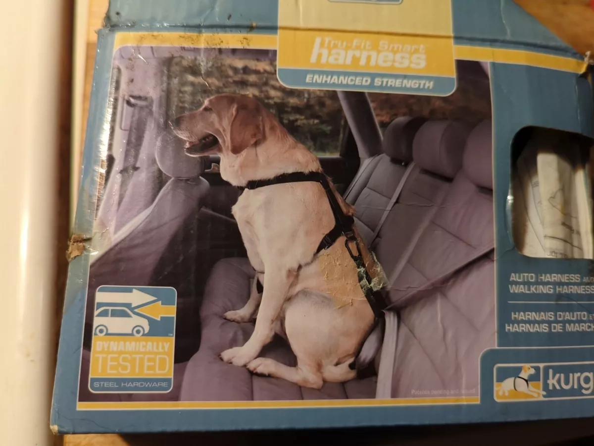Kurgo harness 2025