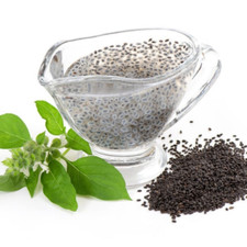 100g Premium Organic Fresh Basil Seeds Boost Your Health and Culinary Creations