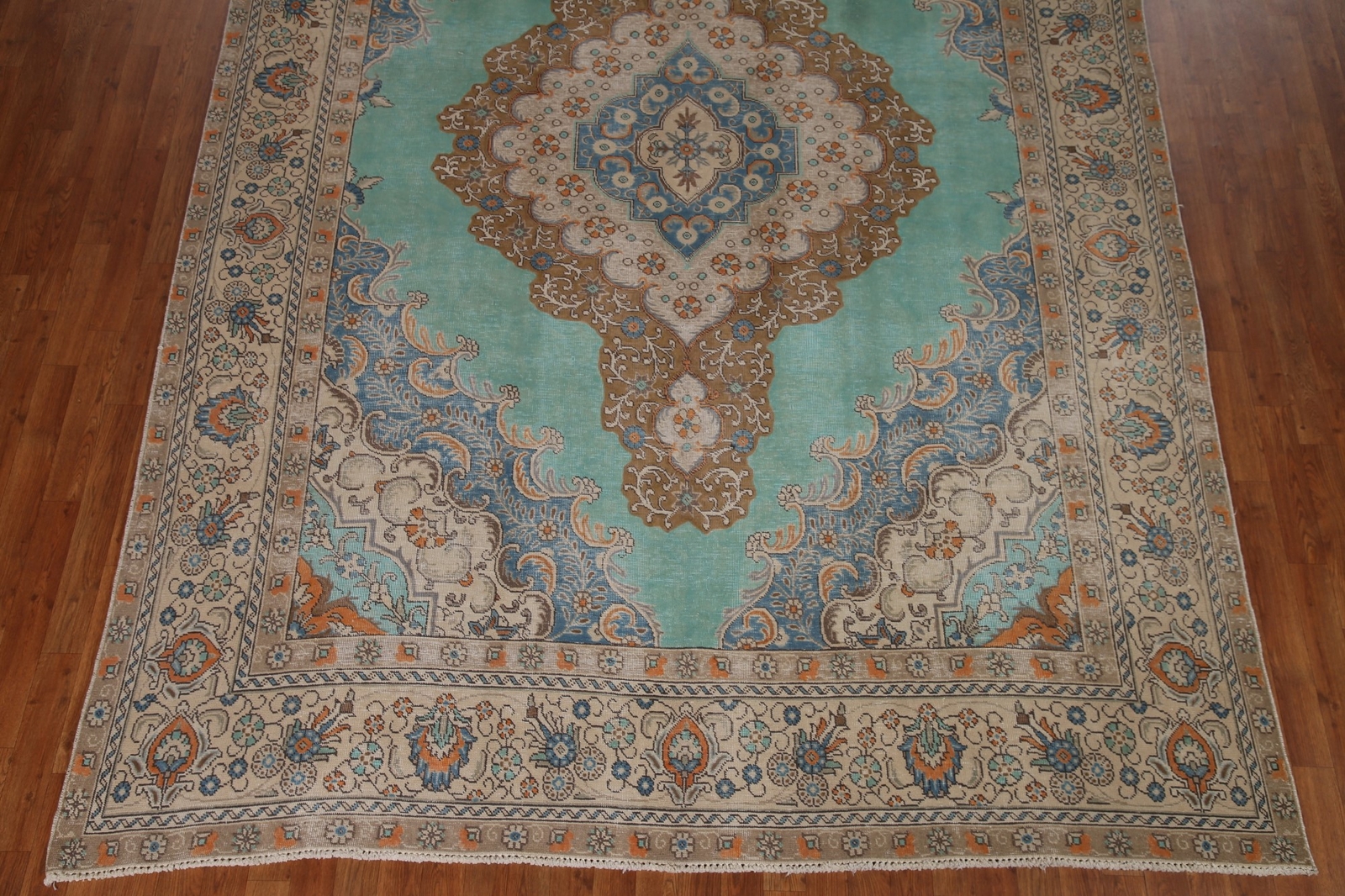 Picture 5 of 12