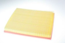 AUTOMEGA 180032810 Air Filter for FORD