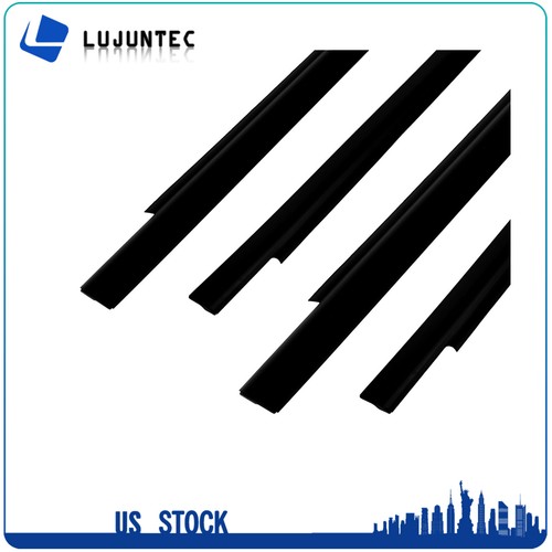 4 Fits 2000-06 Toyota Tundra Weatherstrip Outer Lower Window Moulding Seal Belt - Picture 3 of 5