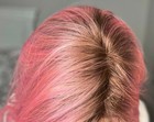 Bild 8 von 10