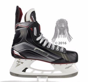 NEW Bauer Vapor X800 Skates Senior