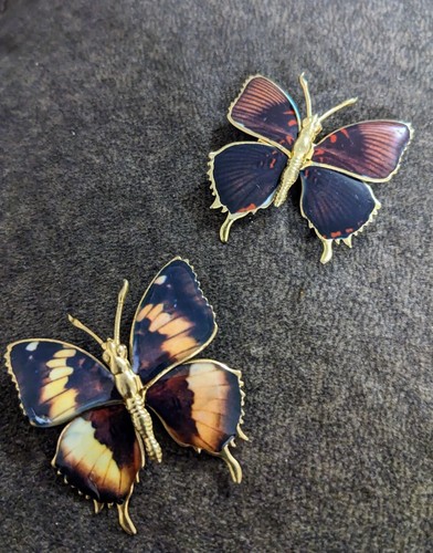 Spille farfalla tono oro ispirate al monarca spille gioielli farfalle - Foto 1 di 4