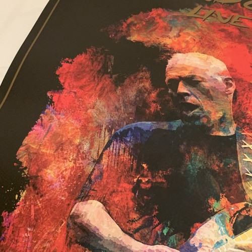 David Gilmour Voice Of Pink Floyd Poster World Tour 25. Juni 2016 Limited F32 - Bild 6 von 20