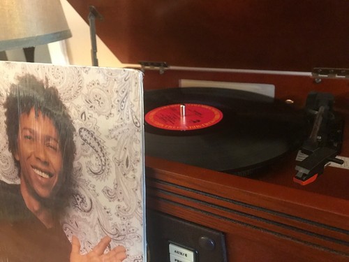 Djavan – Bird Of Paradise |Columbia – FC 44276 LP Vinyl +++ (Mint) - Picture 2 of 7