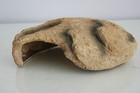 Bild 4 von 7