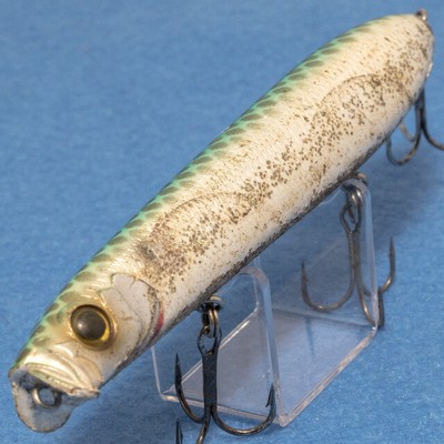 [5646]EVERGREEN SHOWERBLOWS SHORTY | eBay