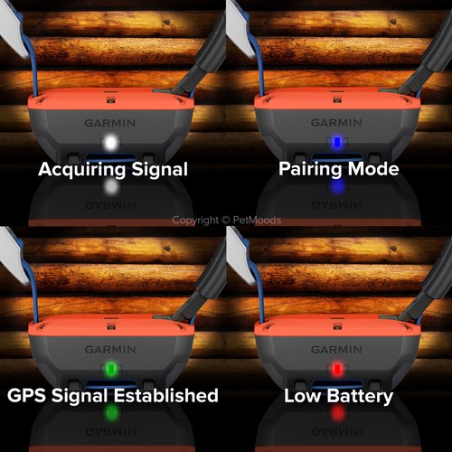 Garmin Alpha T20 GPS Dog Tracking Collar Only - 010-02447-00 - Bild 10 von 28