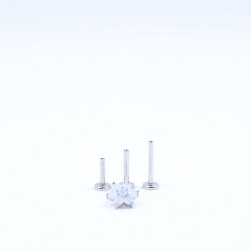 Tragus Piercing Jewelry Surgical Steel Earrings Silver Cartilage Stud Conch P... - Picture 4 of 6