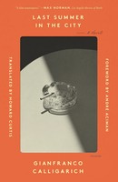 Last Summer In The City | Gianfranco Calligarich | Taschenbuch | Picador Paper