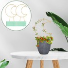 1 Set robuste Metallpflanze Kletterschall