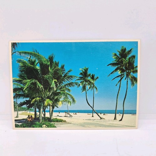 Sun Coast Serene Florida Beach Vintage Postkarte Plastichrome Urlaub - Bild 1 von 4