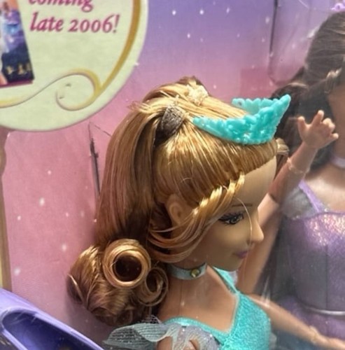 Barbie In The 12 Dancing Princesses Isla and Hadley Ballet Dolls - Picture 8 of 10