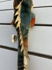 Picture 2 of 5
