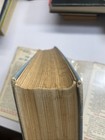 Foto 15 di 16