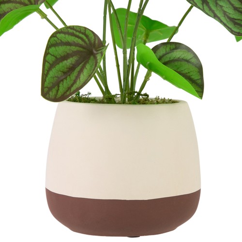Planta de Peperomia Artificial Northlight 10.25" en Maceta Cerámica Dos Tonos - Imagen 4 de 6