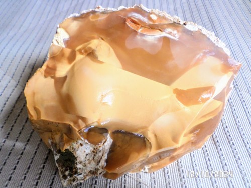 Caramel Opal Rough - Bild 2 von 9