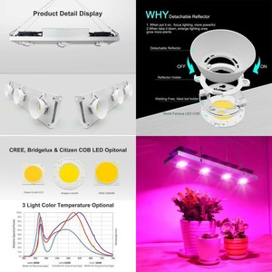 LED Grow Light COB Full Spectrum 100W Citizen Lamp Flower Tent Greenhouse Plant