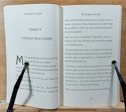 The Kingdom of Light by Brandine Sorenson (Trade Paperback) - Imagen 7 de 18