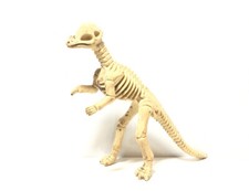 Pachycephalosaurus Dinosaur Skeleton PVC Figure Model