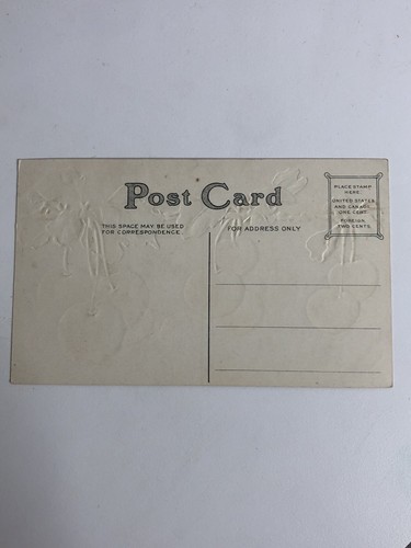 ANTIGUA POSTAL EN RELIEVE manzanas colgantes divididas a principios de 1900, sin publicar - Imagen 2 de 2