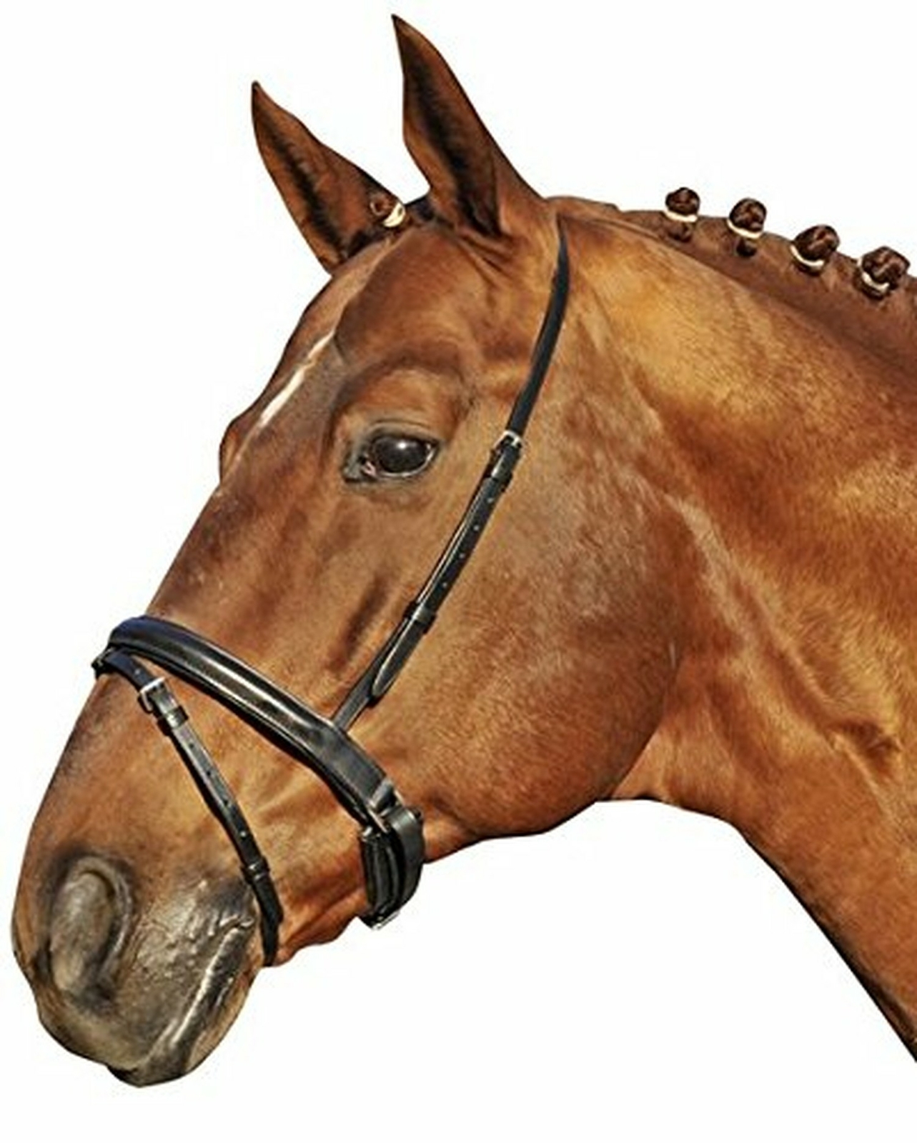 HKM briglia 56679100 – Stoccolma, taglia L, Nero HKM briglia 56679100 – Stoccolma, taglia L, Nero