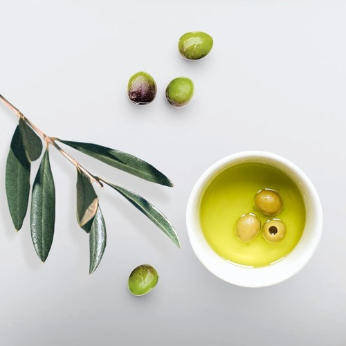 Eco style Olive Oil Styling Gel, Hydrate and Style, Green, All Day Hold 236 ml - Picture 15 of 24