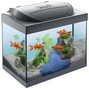 Beginners 30L Glass Fish Tank Aquarium 