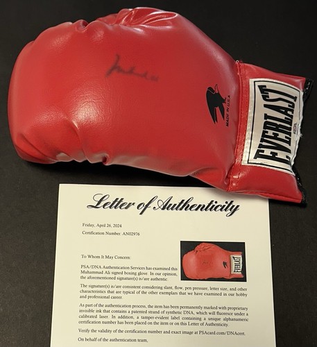 Muhammad Ali Signed Everlast Left Red Boxing Glove Autograph PSA LOA HOF - Picture 1 of 13