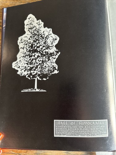 Medicine Man University of Utah 1977 Jahrbuch - Bild 6 von 16