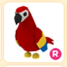 R Parrot - Adopt from Me - Cheap & Trusted Store!!