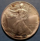 1993 Walking Liberty American Eagle Silver Dollar