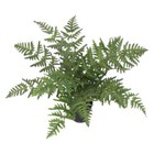 Artificial Fern Plant 50cm Wide Fern Realistic Faux Plants Leaf Design