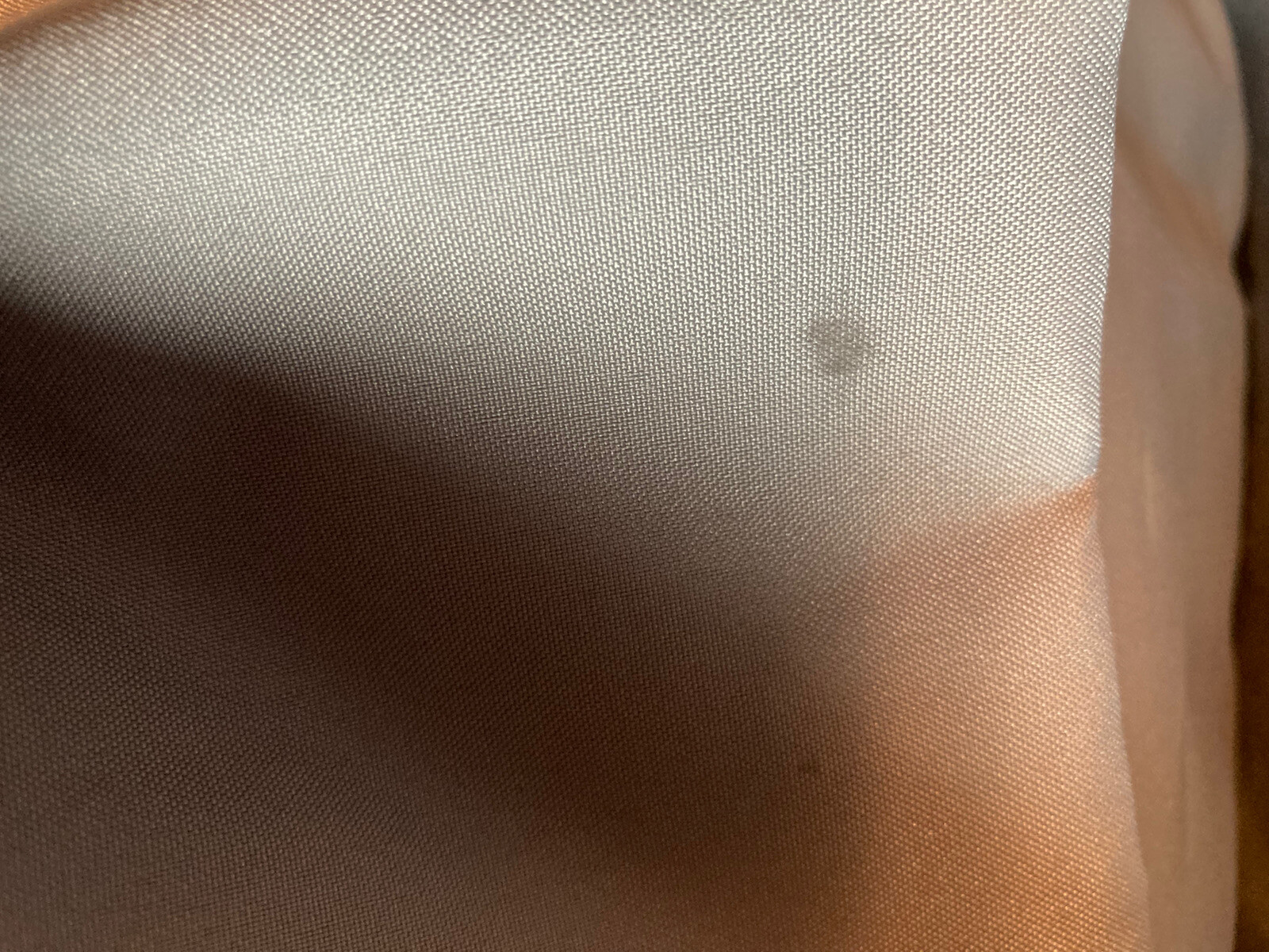 Picture 9 of 9