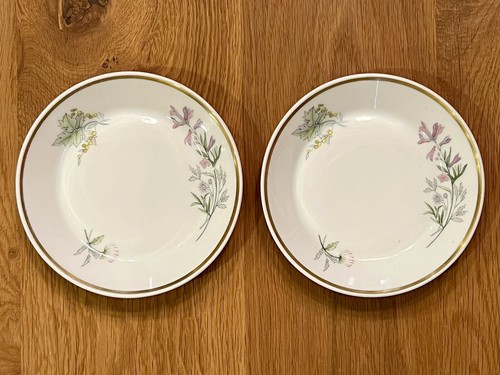 RICHARD GINORI Primavera Teetasse Untertasse 5 1/2" Durchmesser Fine Bone China aus Italien - Bild 7 von 8