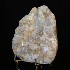 Bild 7 von 11