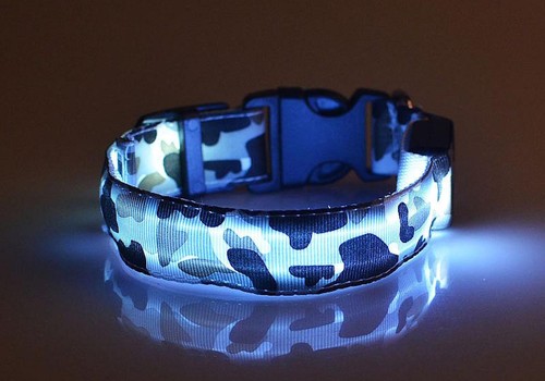 RECHARGEABLE CAMO LED GLOW COLLAR dog pet safety light-up CAMOUFLAGE S M L XL - Picture 14 of 14