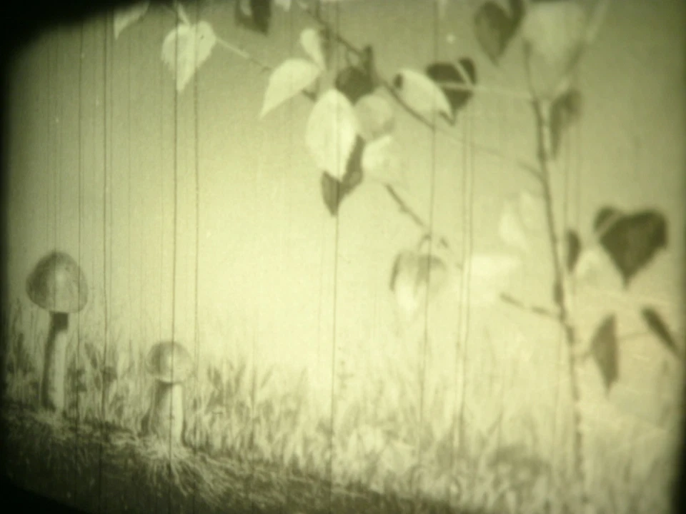 16mm Soviete education " Cap mushrooms " Film b/w Movie Nature - Image 2 of 4