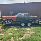Picture 1 of 21