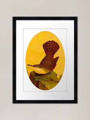North American Canyon Wren gerahmt ein gerahmtes Wandbild Poster Leinwanddruck Bild