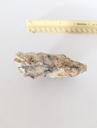 Royston Turquoise Rough Gems Minerals Otteson Nevada 144 grams or 721 carats - Imagen 4 de 7