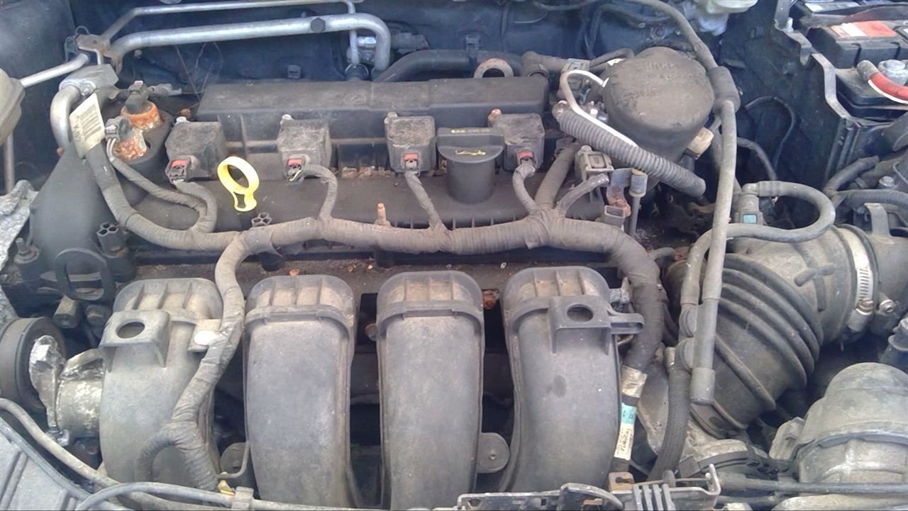 Picture 1 of 12