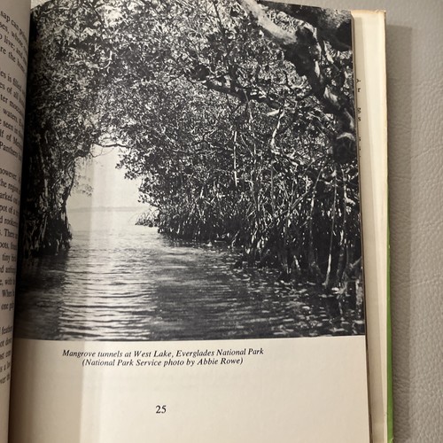 THE FIRST BOOK OF NATIONAL PARKS NORMAN LOBSENZ 1959 FIRST ED 3rd Printing DJ - Bild 12 von 13