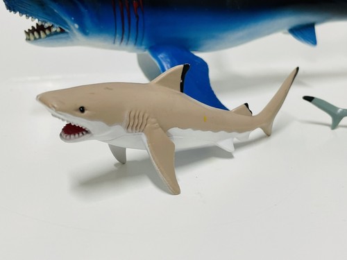 Toys R Us Sharks Animal Planet Chap Mei Great White Bonnethead Mixed Lot Of 3 - Picture 6 of 10