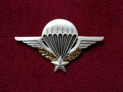 Insigne Brevet Parachutiste de l’Armée de Terre Para Estampé - Photo 1/2