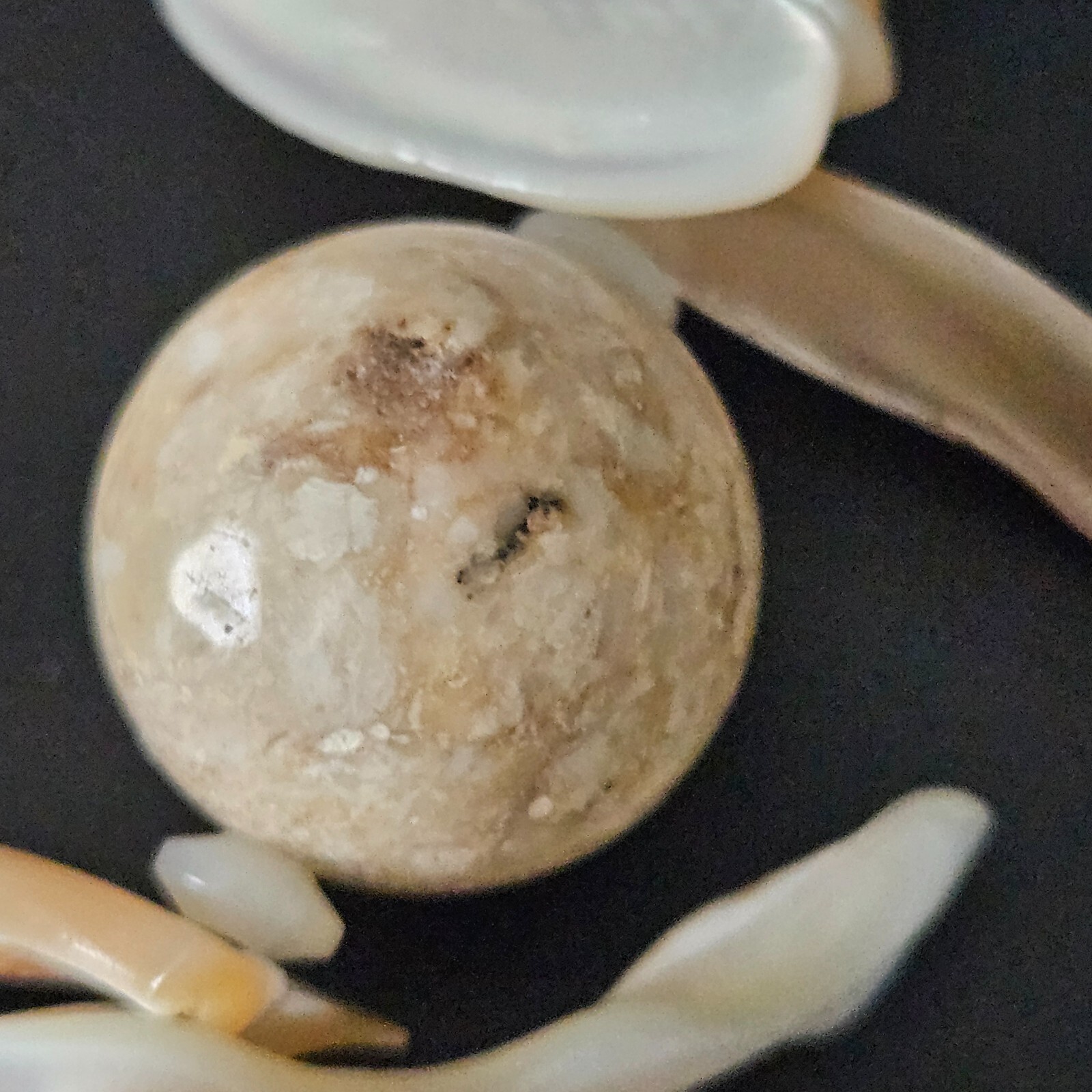 Gorgeous Shell & Flower Agate Statement Necklace … - image 8